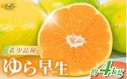 訳あり【2026年秋頃発送予約分】＼光センサー選別／＼農家直送／甘くて濃厚！希少品種 ご家庭用 ゆら早生みかん　約4kg　サイズ混合　※2026年10月上旬より順次発送予定（お届け日指定不可）/ みかん くだもの フルーツ 柑橘 オレンジ 和歌山【nuk162B】