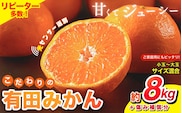 訳あり【2025年11月発送予約分】【農家直送】【ご家庭用】こだわりの有田みかん約8kg＋250g(傷み補償分) 有機質肥料100% サイズ混合　※北海道・沖縄・離島配送不可【11月発送】【nuk100-11C】