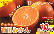【2025年12月発送予約分】【農家直送】【ご家庭用】こだわりの有田みかん 約10kg＋250g(傷み補償分) 有機質肥料100% サイズ混合　※北海道・沖縄・離島配送不可【12月発送】within2025【nuk101-12B】
