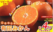 訳あり【2025年12月発送予約分】＼光センサー選別／ 【農家直送】【家庭用】こだわりの有田みかん 約4kg＋250g(傷み補償分) 先行予約 有機質肥料100% サイズ混合 【12月発送】※北海道・沖縄・離島配送不可　within2025【nuk148-12A】