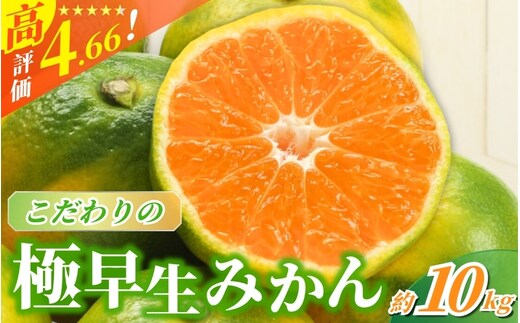 【2026年秋頃発送予約分】【農家直送】こだわりの極早生みかん 約10kg 【数量限定】 有機質肥料100% サイズ混合 ※2026年9月から10月にかけて順次発送予定（お届け日指定不可）【nuk135E】