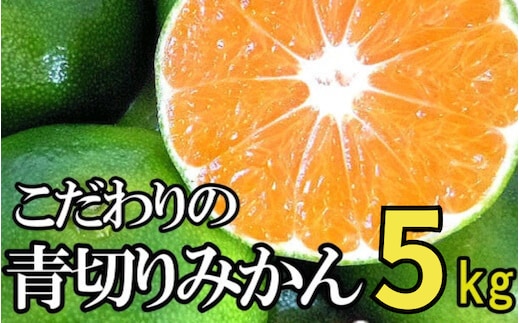 【2026年秋頃発送予約分】【農家直送】こだわりの青切りみかん 約5kg 有機質肥料100% サイズ混合 ※2026年9月から10月にかけて順次発送予定（お届け日指定不可）【nuk150D】
