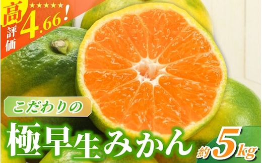 【2026年秋頃発送予約分】【農家直送】こだわりの極早生みかん 約5kg【数量限定】 有機質肥料100% サイズ混合 ※2026年9月から10月にかけて順次発送予定（お届け日指定不可） 【nuk152D】