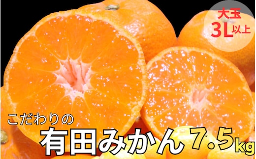 【農家直送】有田みかん 約7.5kg 大玉3L以上 有機質肥料100% ※2025年12月初旬～1月中旬に順次発送(お届け日指定不可)/みかん ミカン 温州みかん 柑橘 有田 和歌山 産地直送 【nuk158D】