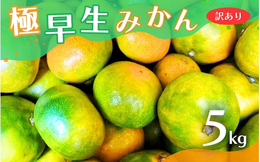 【2026年秋頃発送予約分】【訳あり】こだわりの極早生みかん 約5kg ※2026年10月より順次発送予定（お届け日指定不可） 有機質肥料100% サイズ混合 有田産 / みかん ミカン 有田みかん 和歌山 早生 極早生 訳あり フルーツ 果実 柑橘 くだもの 果物 早生みかん 予約販売【nuk165B】 