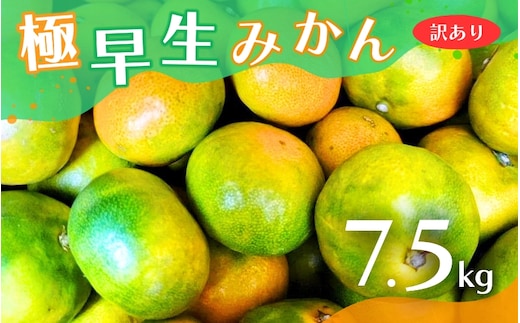 【2026年秋頃発送予約分】【訳あり】こだわりの極早生みかん 約7.5kg ※2026年10月上旬より順次発送予定（お届け日指定不可） 有機質肥料100% サイズ混合 有田産 / みかん ミカン 有田みかん 和歌山 早生 極早生 訳あり フルーツ 果実 柑橘 くだもの 果物 早生みかん 予約販売【nuk166B】 