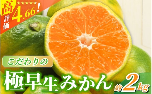 【2026年秋頃発送予約分】【農家直送】こだわりの極早生みかん 約2kg【数量限定】 有機質肥料100% サイズ混合 ※2026年9月から10月にかけて順次発送予定（お届け日指定不可） 【nuk170B】