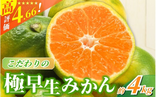 【2026年秋頃発送予約分】【農家直送】こだわりの極早生みかん 約4kg【数量限定】 有機質肥料100% サイズ混合 ※2026年9月から10月にかけて順次発送予定（お届け日指定不可） 【nuk171A】