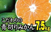 【2026年秋頃発送予約分】【農家直送】こだわりの青切りみかん 約7.5kg  有機質肥料100%　 サイズ混合　※2026年9月から10月にかけて順次発送予定（お届け日指定不可）【nuk107F】