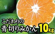 【2026年秋頃発送予約分】【農家直送】こだわりの青切りみかん 約10kg  有機質肥料100%　 サイズ混合　※2026年9月から10月にかけて順次発送予定（お届け日指定不可）/ みかん くだもの フルーツ 柑橘 オレンジ 有田みかん【nuk108F】