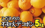 ＼農家直送／こだわりのデコポン不知火 約5kg 有機質肥料　※2026年2月中旬より順次発送予定（お届け日指定不可）【nuk111C】