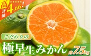 【2026年秋頃発送予約分】【農家直送】こだわりの極早生みかん 約7.5kg【数量限定】 有機質肥料100% サイズ混合 ※2026年9月から10月にかけて順次発送予定（お届け日指定不可）【nuk136E】