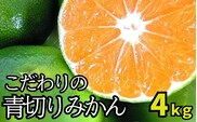 【先行予約】＼有機質肥料100%／ こだわりの青切りみかん 約4kg サイズ混合 【2026年9月から10月にかけて順次発送】【nuk142C】