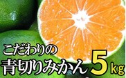 【2026年秋頃発送予約分】【農家直送】こだわりの青切りみかん 約5kg 有機質肥料100%　 サイズ混合　※2026年9月から10月にかけて順次発送予定（お届け日指定不可）【nuk150D】