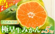 【2026年秋頃発送予約分】【農家直送】こだわりの極早生みかん 約5kg【数量限定】 有機質肥料100% サイズ混合 ※2026年9月から10月にかけて順次発送予定（お届け日指定不可） 【nuk152D】