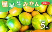【2026年秋頃発送予約分】【訳あり】こだわりの極早生みかん 約5kg ※2026年10月より順次発送予定（お届け日指定不可） 有機質肥料100% サイズ混合 有田産 / みかん ミカン 有田みかん 和歌山 早生 極早生 訳あり フルーツ 果実 柑橘 くだもの 果物 早生みかん 予約販売【nuk165B】 