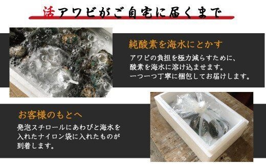 やわコリ食感紀州の蝦夷アワビ 【8個入】 五つ星旅館にも出荷される