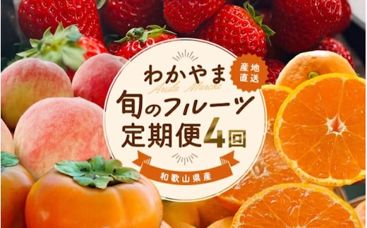 ★大人気★みんなが食べたい！わかやま旬のくだもの定期便 全4回【L】（配送日時指定不可）※北海道・沖縄・離島への配送不可 / 定期便 フルーツ 有田みかん まりひめ いちご 桃 柿 ランキング おすすめ 人気【ard-tkb911】