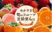 2024年ランキング1位獲得！わかやま旬のくだもの定期便　全4回【Ｓ】（配送日時指定不可）※北海道・沖縄・離島への配送不可 / 定期便 フルーツ 有田みかん まりひめ いちご 桃 柿 ランキング おすすめ 人気【ard-tkb910】
