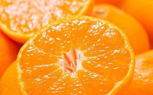 【予約受付】ブランド有田みかん 秀品5キロ/サイズお任せ ※2025年10月下旬～2026年1月中旬頃発送予定（お届け日指定不可） 紀伊国屋文左衛門本舗【sutb140C】