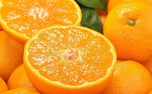 【予約受付】田村みかん 秀品5キロ/サイズおまかせ◆2025年11月下旬～2026年1月中旬頃に発送(お届け日指定不可) 紀伊国屋文左衛門本舗【sutb301B】