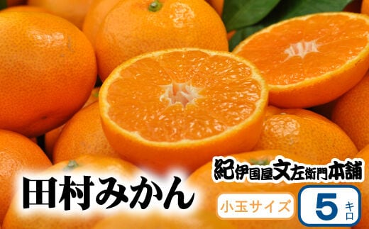 田村みかん 5kg 秀品【小玉サイズ】/紀州和歌山有田郡湯浅町田村地区産 ◆2026年11月下旬～2027年1月中旬頃に順次発送予定(お届け日指定不可) 紀伊国屋文左衛門本舗【sutb306B】