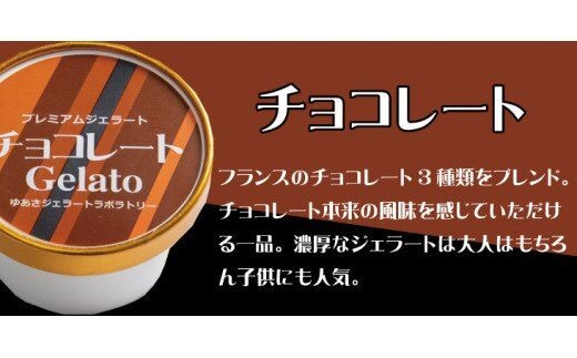 プレミアムジェラート チョコレート12個セット アイスクリームセット 100mlカップ ゆあさジェラートラボラトリー【sutb700-03】