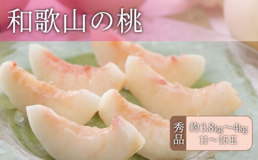和歌山の桃 秀品 [約3.8～4kg] (サイズ・品種おまかせ) 紀伊国屋文左衛門本舗 和歌山 もも モモ 桃 果物 フルーツ 人気 産地直送 和歌山県 お取り寄せ【sutb800B】