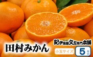 田村みかん 5kg 秀品【小玉サイズ】/紀州和歌山有田郡湯浅町田村地区産 ◆2026年11月下旬～2027年1月中旬頃に順次発送予定(お届け日指定不可)　紀伊国屋文左衛門本舗【sutb306B】