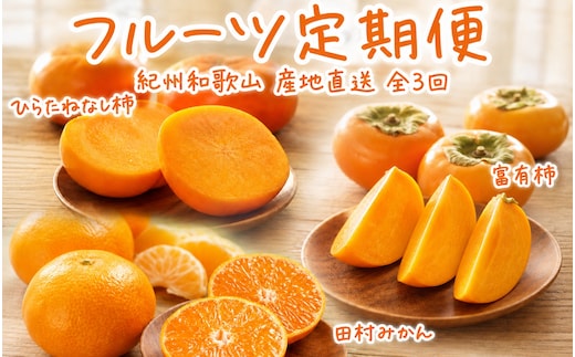 【全3回定期便】秋の味覚 果物定期便 柿・みかん 旬のフルーツを毎月お届け♪【tkb130】