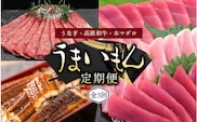【3ヶ月定期便】和歌山うまいもん定期便 国産うなぎ･高級和牛･本マグロの人気返礼品を3回お届け！/ウナギ 鰻 牛肉 黒毛和牛 熊野牛 鮪 まぐろ【tkb300】
