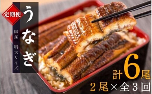 【全3回定期便】大型サイズ ふっくら柔らか 国産うなぎ蒲焼き 2尾×3回 計6尾 約1020g / うなぎ ウナギ 鰻 国産 蒲焼 蒲焼き たれ 人気 定期便 ふるさと納税【tkb309】