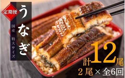 【全6回定期便】大型サイズ ふっくら柔らか 国産うなぎ蒲焼き 2尾×6回 計12尾 約2040g / うなぎ ウナギ 鰻 国産 蒲焼 蒲焼き たれ 人気 定期便 ふるさと納税【tkb310】