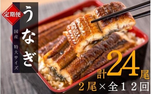 【全12回定期便】大型サイズ ふっくら柔らか 国産うなぎ蒲焼き 2尾×12回 計24尾 約4080g / うなぎ ウナギ 鰻 国産 蒲焼 蒲焼き たれ 人気 定期便 ふるさと納税【tkb311】