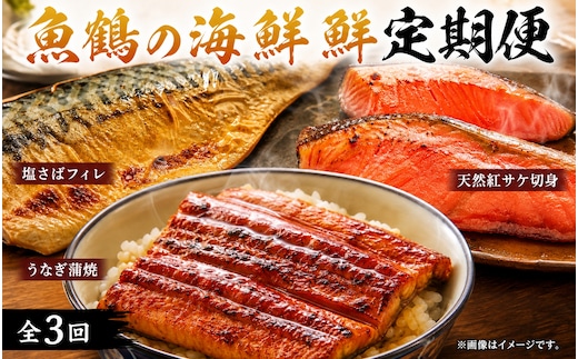 【全3回定期便】和歌山からお届け おさかな定期便 サバ・ウナギ・サケ【tkb131】