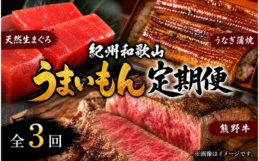 【全3回】まぐろ・うなぎ・和牛を楽しむ贅沢定期便A / 鮪 マグロ 刺身 鰻 ウナギ 蒲焼 熊野牛 肉 牛肉 和牛 黒毛和牛 ヒレ ロース シャトーブリアン ステーキ スライス【tkb386】