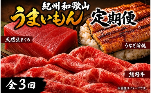 【全3回】まぐろ・うなぎ・和牛を楽しむ贅沢定期便B / 鮪 マグロ 刺身 鰻 ウナギ 蒲焼 熊野牛 肉 牛肉 和牛 黒毛和牛 赤身 こま切れ 【tkb387】