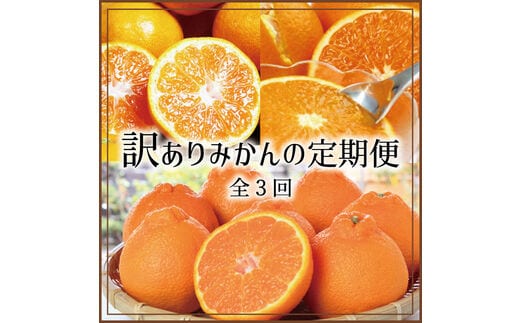 【3か月定期便】たっぷり届く♪訳ありみかんの定期便【tkb113】