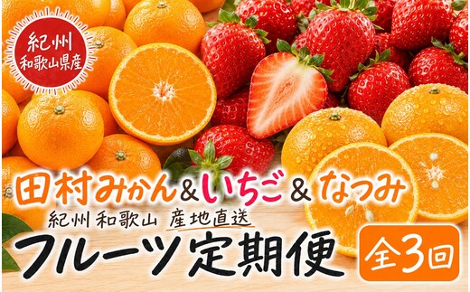 【全3回】紀州和歌山産旬のフルーツ定期便 (田村みかん・いちご・なつみ) 【tkb374】