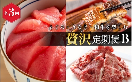 【全3回】まぐろ・うなぎ・和牛を楽しむ贅沢定期便B / 鮪 マグロ 刺身 鰻 ウナギ 蒲焼 熊野牛 肉 牛肉 和牛 黒毛和牛 赤身 こま切れ 【tkb387】