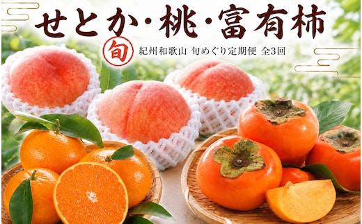 【全3回】紀州和歌山産旬のフルーツセット(せとか・桃・富有柿) / 果物定期便 フルーツ定期便 セトカ 柑橘 くだもの 果物 カキ かき 柿 もも モモ 桃 【tkb392】