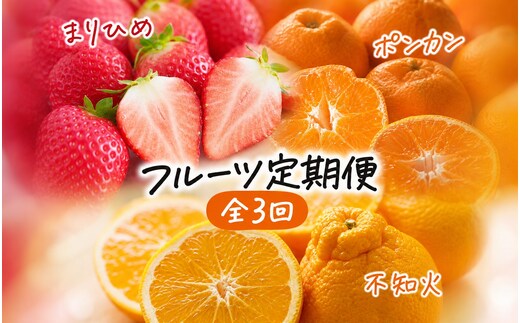 【発送月固定定期便】紀州和歌山産旬のフルーツセット(いちご4P・ポンカン・紀州デコ約5kg)全3回 