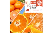 【3か月定期便】人気のみかんを集めた！旬の柑橘定期便【tkb111】