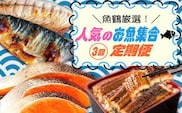 【全3回】魚鶴厳選！人気のお魚集合定期便（さば・銀鮭・うなぎ）【tkb307】