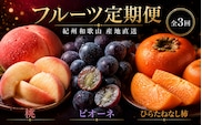 【全3回】紀州和歌山産旬のフルーツ定期便 (桃・ピオーネ・ひらたねなし柿)【tkb371】
