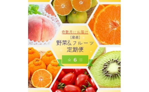 【全6回定期便】奇数月にお届け♪【産直】野菜＆フルーツ定期便！キウイ・不知火・アイコトマト・桃・極早生みかん・有田みかん【tkb358】