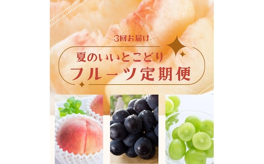 【3か月定期便】夏のいいとこどりフルーツ定期便♪桃・ピオーネ・シャインマスカット【tkb360】