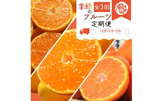 【全3回】紀州和歌山産旬のフルーツ定期便 (田村みかん・はるみ・不知火)【tkb376】