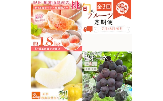 【全3回】紀州和歌山産旬のフルーツ定期便 (桃・梨・ピオーネ) / フルーツ 柑橘 和歌山 もも モモ 梨 なし ぶどう 葡萄 シャインマスカット ピオーネ 紫苑 【tkb424】