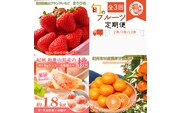 【全3回】紀州和歌山産旬のフルーツ定期便 (いちご・桃・有田みかん)  【tkb375】